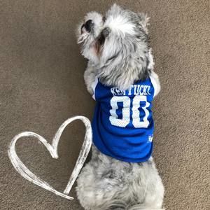 Meet your Posher, Carly